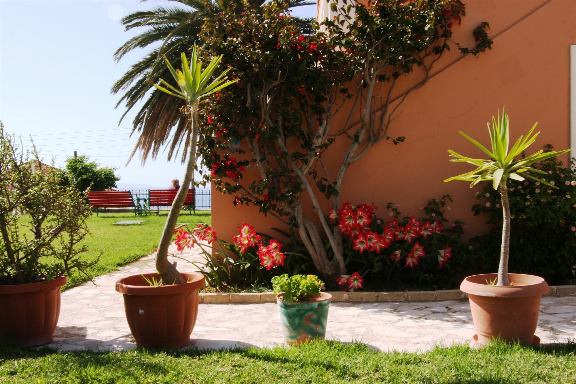 Nikos & Katerina Studios Agios Stefanos Avliotes (Corfu) Exterior foto