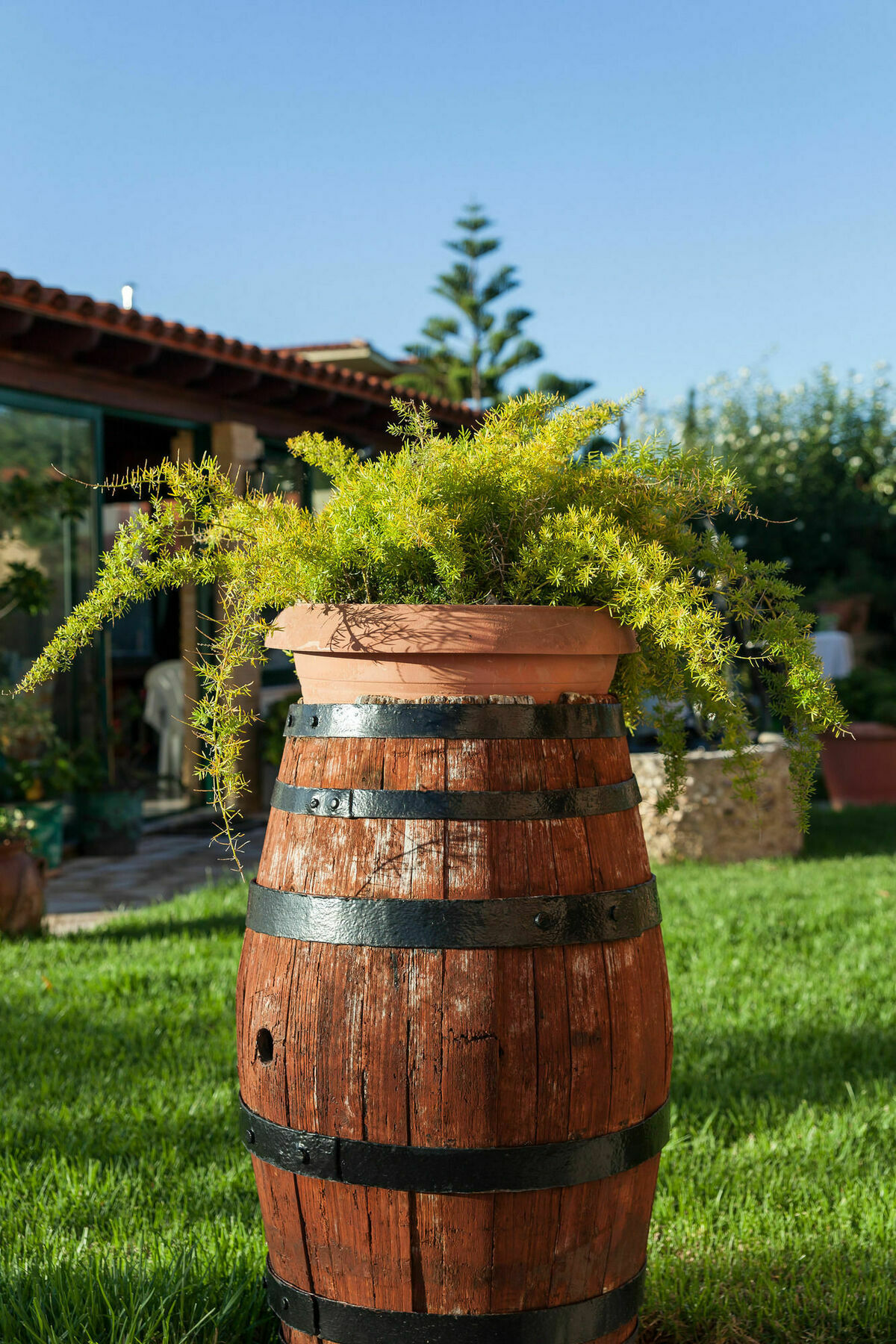 Nikos & Katerina Studios Agios Stefanos Avliotes (Corfu) Exterior foto